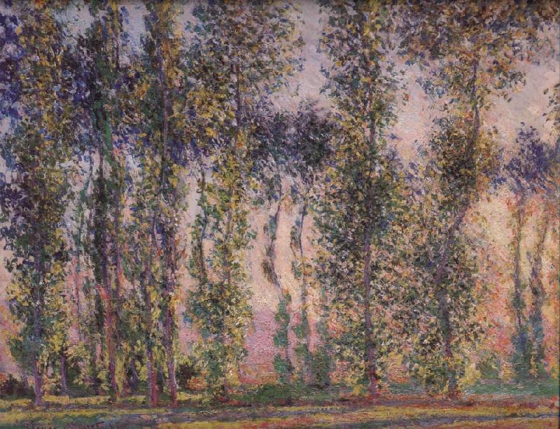 Claude Monet Poplars at Giverny Spain oil painting art
